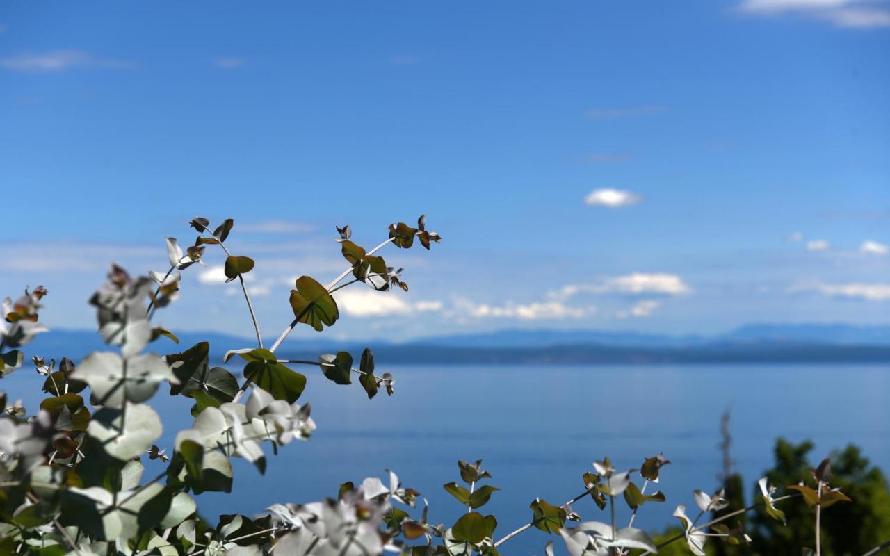 Apartments Near The Beach, With Terraces And Seaview At House B. Mošćenička Draga Exterior foto